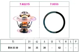 termostat-seat-vw-eps