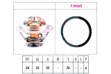 termostat-renault-76c-master-eps