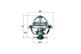 termostat-mahle