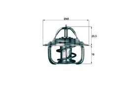 termostat-mahle
