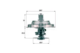 termostat-mahle
