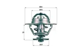 termostat-mahle
