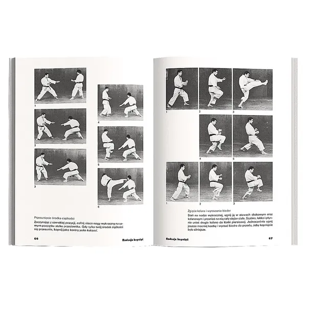 best-karate-3-wydawnictwo-diamond-books