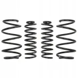 sprezyny-eibach-pro-kit-renault-megane-m