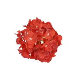 hortensja-wyrobowa-tt-red