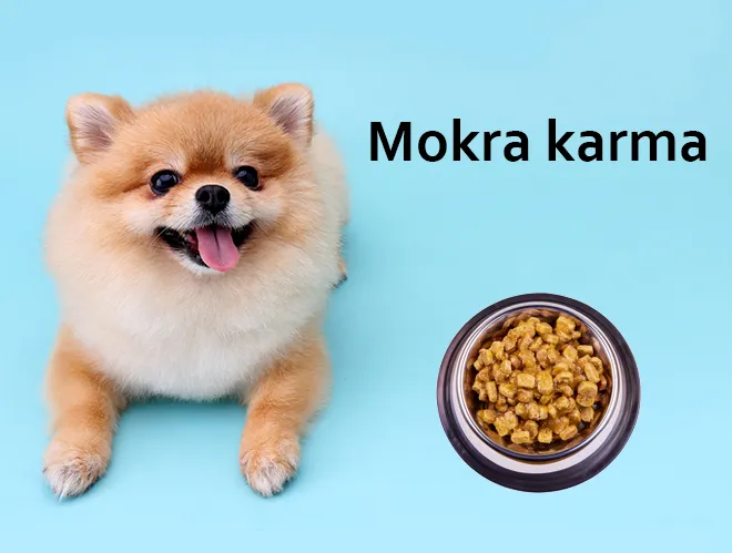 undefined_undefined