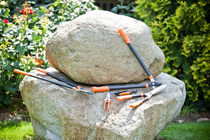 verdenia-sekator-ogrodowy-20-cm-zasilanie-reczne