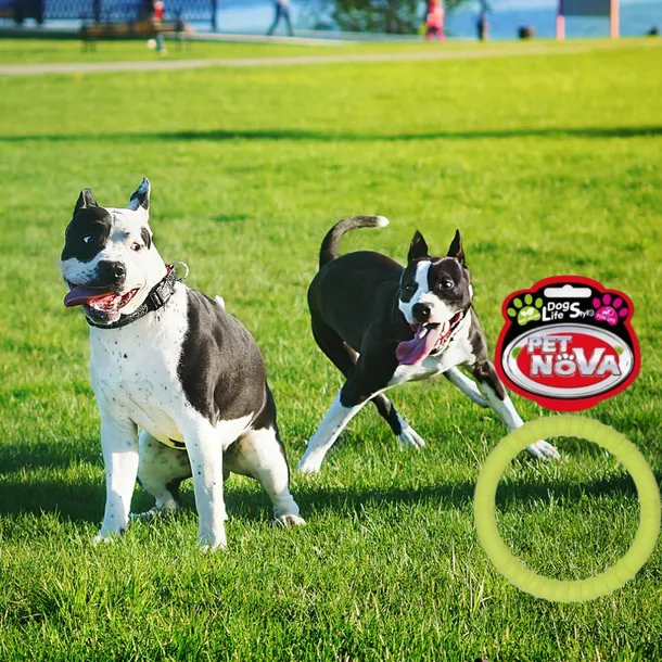 ringo-dla-psa-petnova-95-cm-zolte-stan-nowy