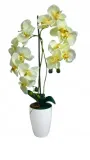 biopon-nawoz-do-storczykow-0-5l-zastosowanie-do-pielegnacji-kwiatow