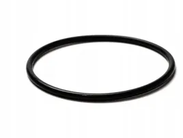 o-ring-58x3-logis-hansgrohe-98202000