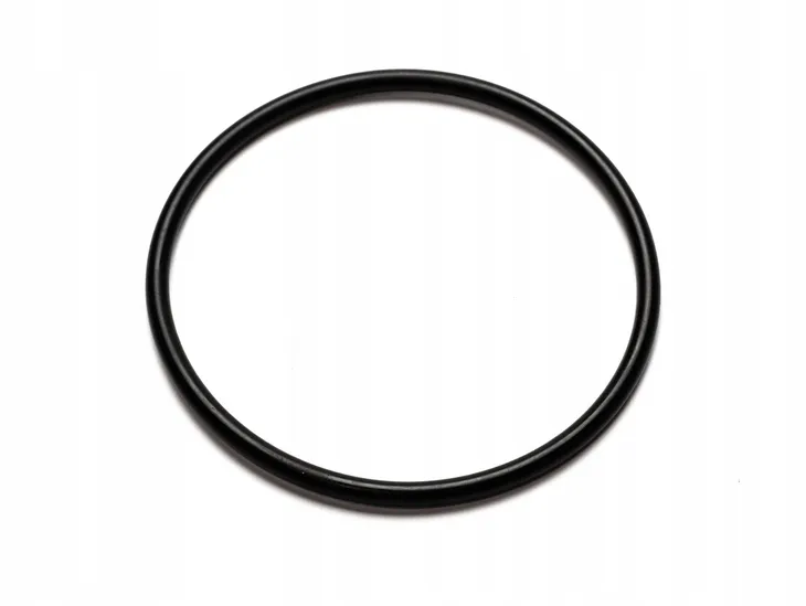 o-ring-58x3-logis-hansgrohe-98202000-stan-nowy