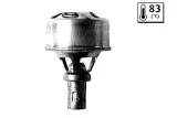 termostat-renault-valeo-stan-nowy