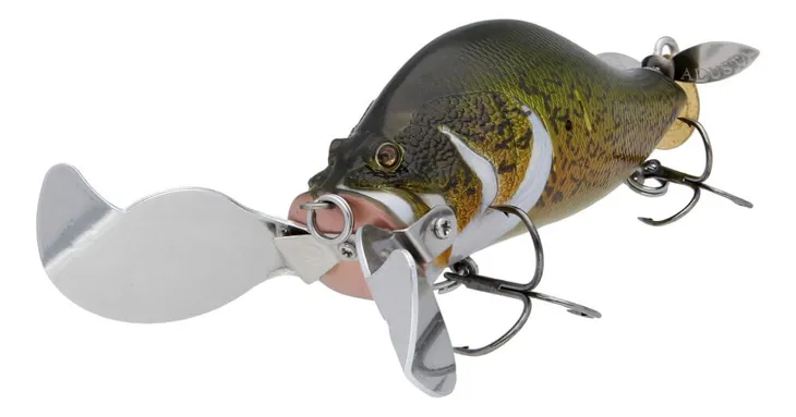 adusta-zacrawl-heart-blaster-011-murray-cod