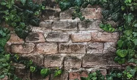 panel-scienny-pcv-3d-flora-mur-roslinnosc-100x60