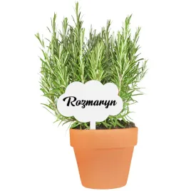 14x-etykieta-tabliczka-znacznik-do-doniczek-roslin