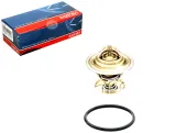 termostat-vw-75c-19d-td-topran