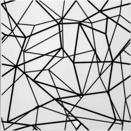 panel-scienny-kaseton-abstrakcja-bialo-czarna-gl5