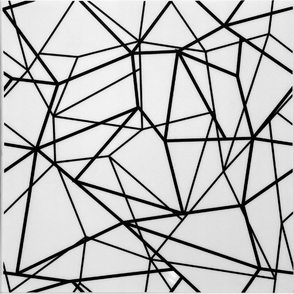 panel-scienny-kaseton-abstrakcja-bialo-czarna-gl5-stan-nowy