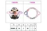 termostat-isuzu-renault-eps-stan-nowy