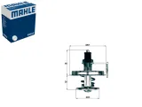 termostat-mahle