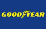 2x-goodyear-215-55r16-93v-efficientgrip-performanc-liczba-opon-w-ofercie-2-szt