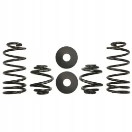 sprezyny-eibach-pro-kit-audi-a3-8l1