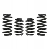 sprezyny-eibach-pro-kit-audi-a6-avant-4f