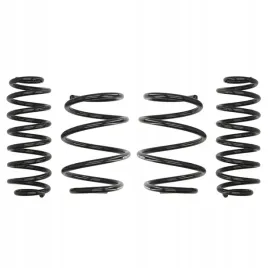 sprezyny-eibach-pro-kit-bmw-5-e39-touring