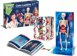 clementoni-cialo-ludzkie-zestaw-edukacyjny-8