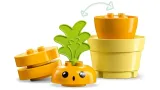 lego-10981-rosnaca-marchewka-marka-lego-waga-z-opakowaniem-0-283-kg