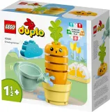 lego-10981-rosnaca-marchewka-waga-z-opakowaniem-0-283-kg-marka-lego