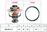 termostat-citroen-eps-stan-nowy