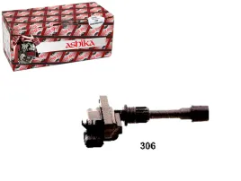 cewka-zaplonowa-ashika