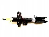 amortyzator-opel-p-corsa-c-pr-maxgear