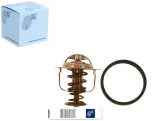 termostat-renault-blue-print