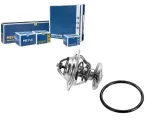termostat-vw-80c-a80-100-golf-meyle