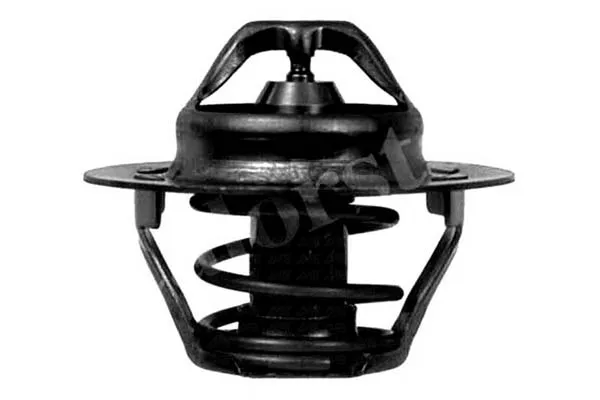 termostat-renault-89c-megane-calorstat-stan-nowy