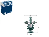 termostat-mahle