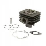 cylinder-gilera-easy-moving-stalker-storm-typho