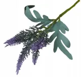 wrzos-bukiet-ozdobny-violet