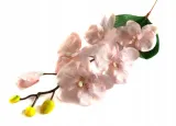 storczyk-galazka-phalaenopsis-lt-pink-stan-nowy