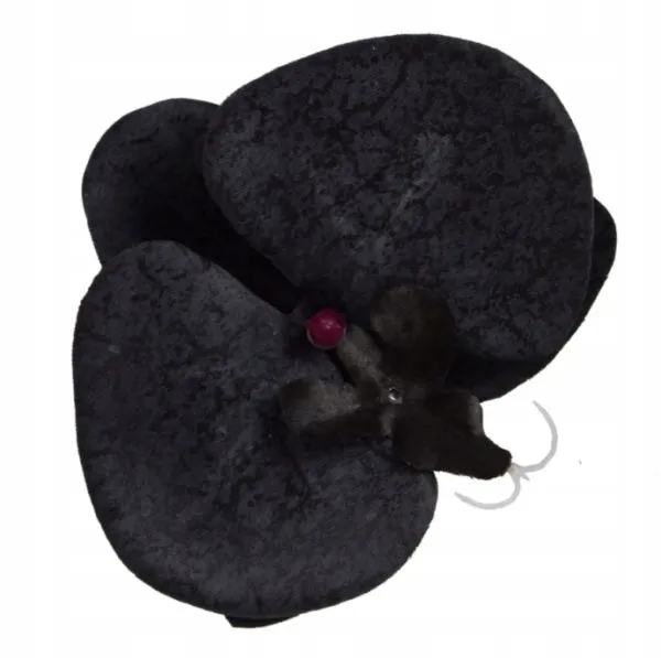 storczyk-phalaenopsis-glowka-kwiat-black