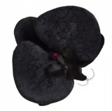 storczyk-phalaenopsis-glowka-kwiat-black