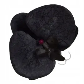 storczyk-phalaenopsis-glowka-kwiat-black