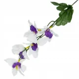 storczyk-cymbidium-galazka-mini-white-violet