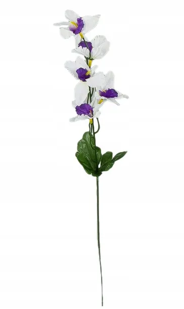 storczyk-cymbidium-galazka-mini-white-violet-stan-nowy