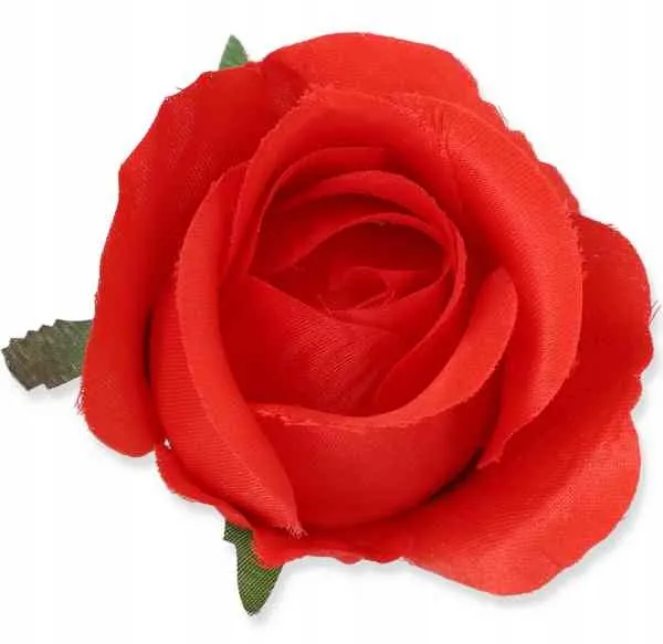 roza-w-paku-glowka-red