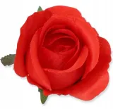 roza-w-paku-glowka-red