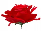 roza-satynowa-glowka-red-stan-nowy