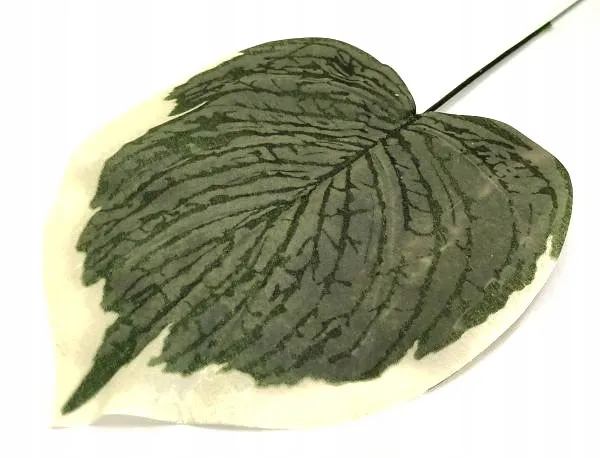 lisc-melon-green-white-micro-touch